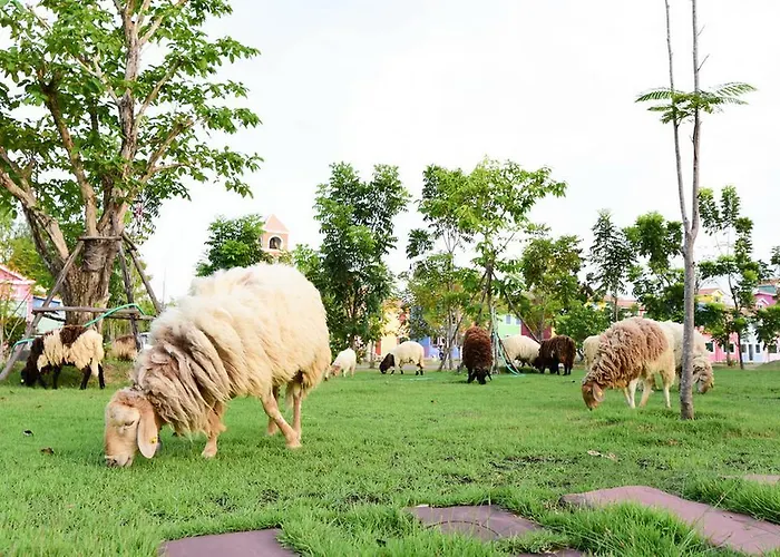 บูราโน สวนผึ้ง